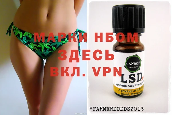 шишки Новозыбков