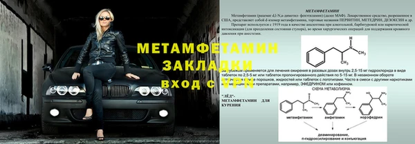 шишки Новозыбков