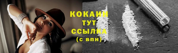 шишки Новозыбков