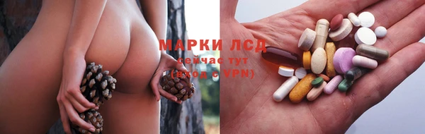 шишки Новозыбков