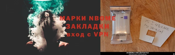 шишки Новозыбков