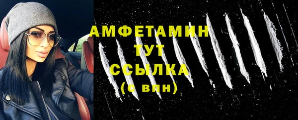 шишки Новозыбков
